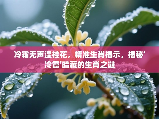 冷霜无声湿桂花，精准生肖揭示，揭秘‘冷霞’暗藏的生肖之谜