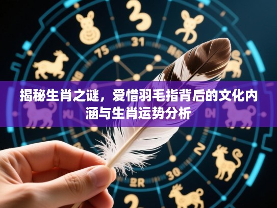 揭秘生肖之谜，爱惜羽毛指背后的文化内涵与生肖运势分析