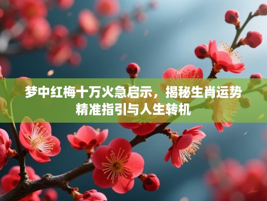 梦中红梅十万火急启示，揭秘生肖运势精准指引与人生转机