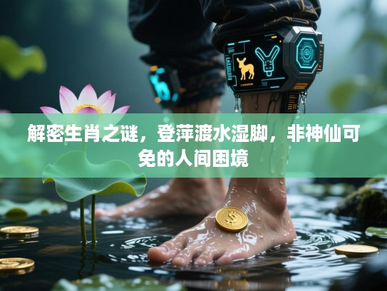 解密生肖之谜，登萍渡水湿脚，非神仙可免的人间困境