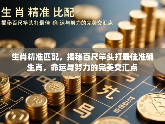 生肖精准匹配,揭秘百尺竿头打最佳准确生肖,命运与努力的完美交汇点 生肖精准匹配,揭秘百尺竿头打最佳准确生肖,命运与努力的完美交汇点