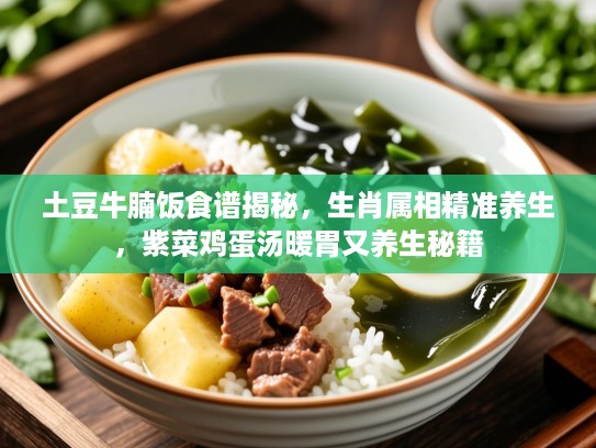 土豆牛腩饭食谱揭秘，生肖属相精准养生，紫菜鸡蛋汤暖胃又养生秘籍