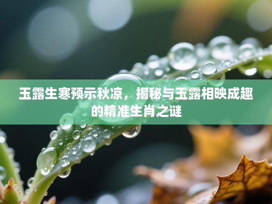 玉露生寒预示秋凉,揭秘与玉露相映成趣的精准生肖之谜 玉露生寒预示秋凉,揭秘与玉露相映成趣的精准生肖之谜