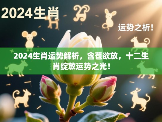 2024生肖运势解析，含苞欲放，十二生肖绽放运势之光！