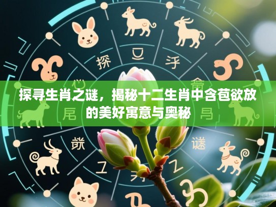 探寻生肖之谜，揭秘十二生肖中含苞欲放的美好寓意与奥秘