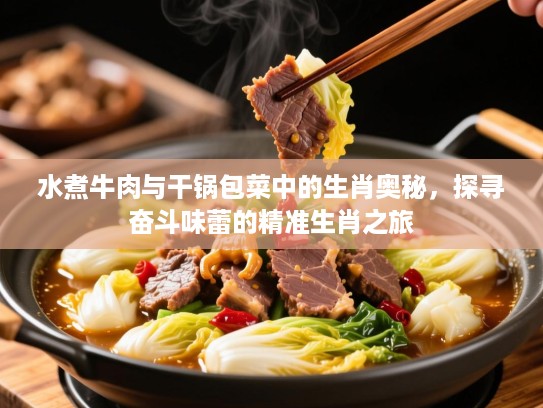 水煮牛肉与干锅包菜中的生肖奥秘，探寻奋斗味蕾的精准生肖之旅