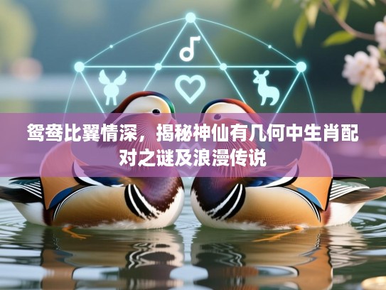 鸳鸯比翼情深,揭秘神仙有几何中生肖配对之谜及浪漫传说 鸳鸯比翼情深,揭秘神仙有几何中生肖配对之谜及浪漫传说