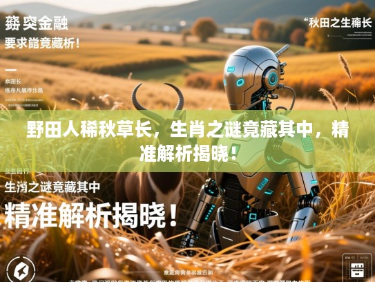 野田人稀秋草长，生肖之谜竟藏其中，精准解析揭晓！