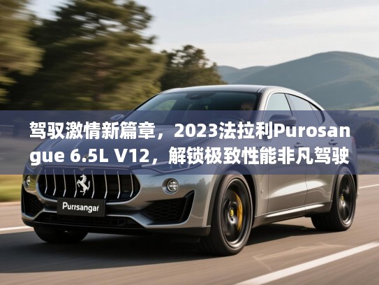 驾驭激情新篇章,2023法拉利Purosangue 6.5L V12,解锁极致性能非凡驾驶体验攻略 驾驭激情新篇章,2023法拉利Purosangue 6.5L V12,解锁极致性能非凡驾驶体验攻略