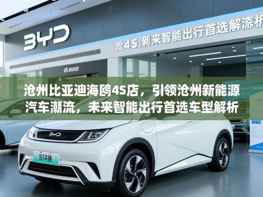 沧州比亚迪海鸥4S店，引领沧州新能源汽车潮流，未来智能出行首选车型解析