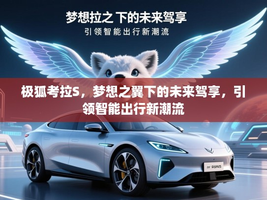 极狐考拉S,梦想之翼下的未来驾享,引领智能出行新潮流 极狐考拉S,梦想之翼下的未来驾享,引领智能出行新潮流