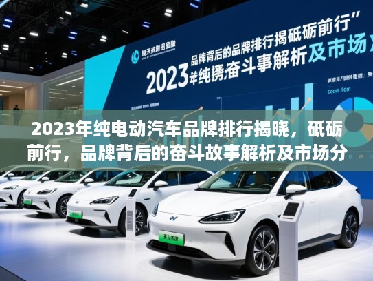 2023年纯电动汽车品牌排行揭晓，砥砺前行，品牌背后的奋斗故事解析及市场分析
