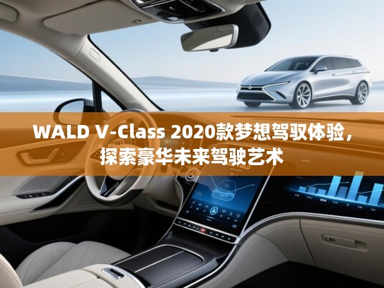 WALD V-Class 2020款梦想驾驭体验,探索豪华未来驾驶艺术 WALD V-Class 2020款梦想驾驭体验,探索豪华未来驾驶艺术