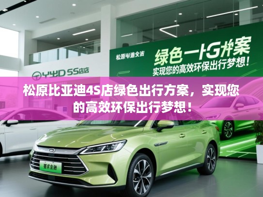 松原比亚迪4S店绿色出行方案，实现您的高效环保出行梦想！