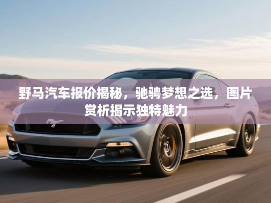 野马汽车报价揭秘，驰骋梦想之选，图片赏析揭示独特魅力