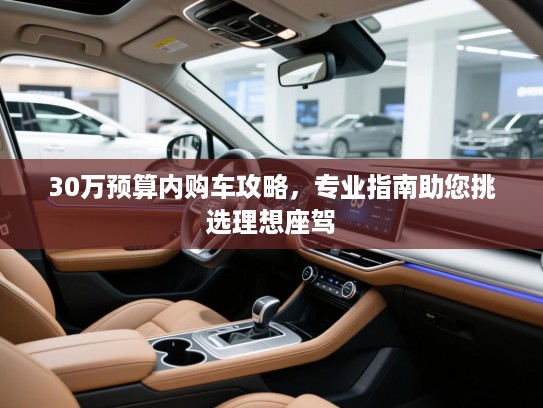 30万预算内购车攻略，专业指南助您挑选理想座驾