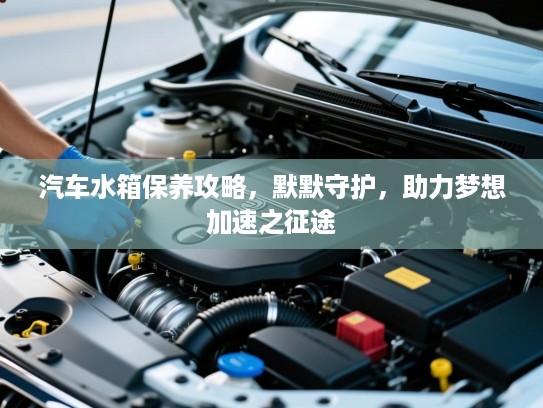汽车水箱保养攻略，默默守护，助力梦想加速之征途