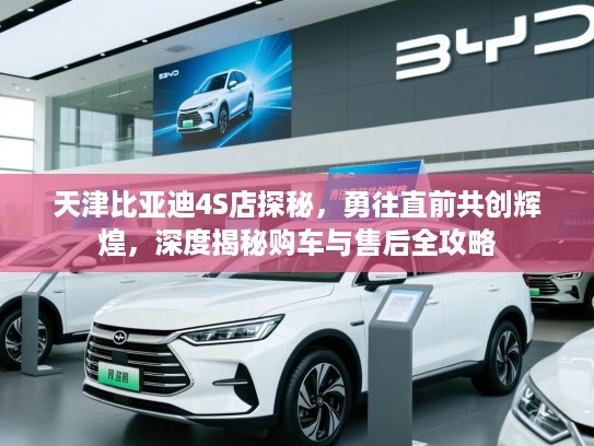 天津比亚迪4S店探秘，勇往直前共创辉煌，深度揭秘购车与售后全攻略