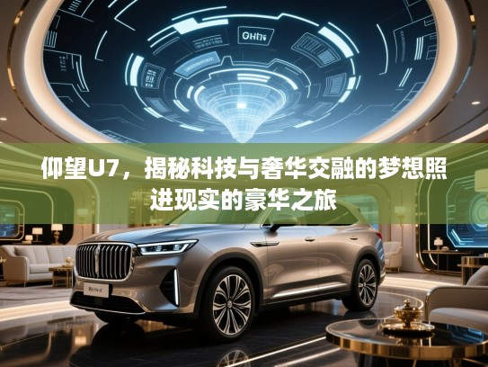 仰望U7，揭秘科技与奢华交融的梦想照进现实的豪华之旅