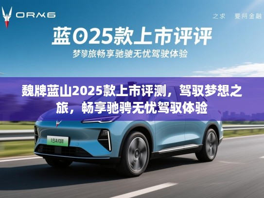 魏牌蓝山2025款上市评测，驾驭梦想之旅，畅享驰骋无忧驾驭体验