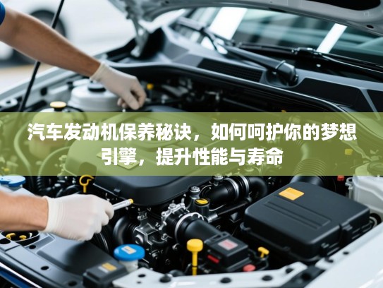 汽车发动机保养秘诀，如何呵护你的梦想引擎，提升性能与寿命