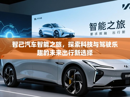 智己汽车智能之旅，探索科技与驾驶乐趣的未来出行新选择