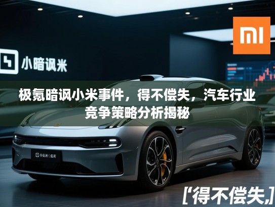 极氪暗讽小米事件，得不偿失，汽车行业竞争策略分析揭秘