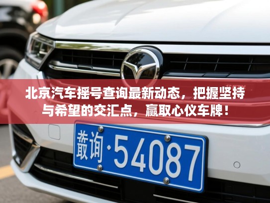北京汽车摇号查询最新动态，把握坚持与希望的交汇点，赢取心仪车牌！