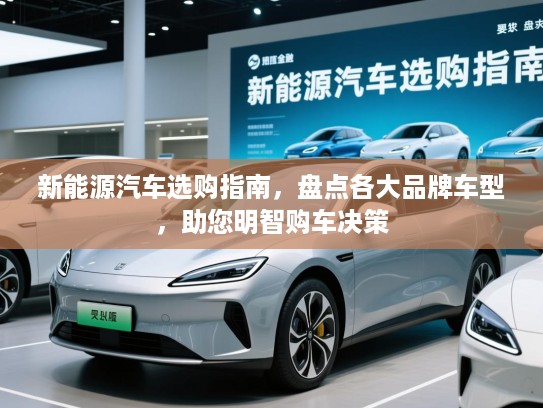 新能源汽车选购指南，盘点各大品牌车型，助您明智购车决策