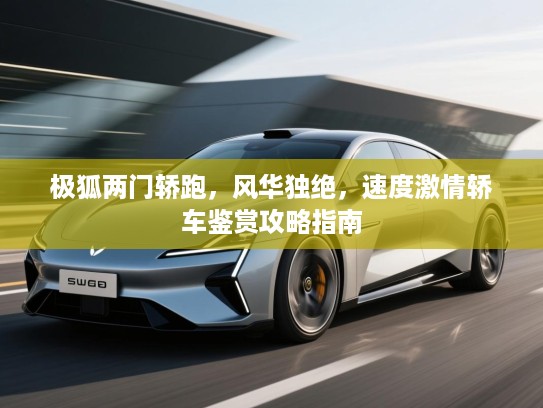 极狐两门轿跑，风华独绝，速度激情轿车鉴赏攻略指南