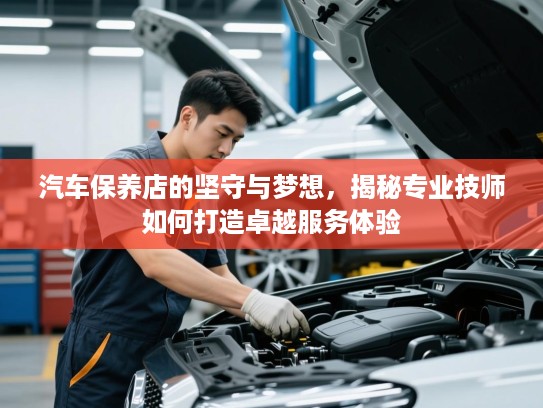 汽车保养店的坚守与梦想，揭秘专业技师如何打造卓越服务体验