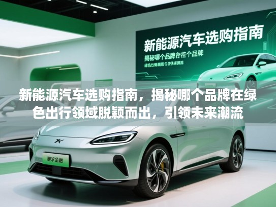 新能源汽车选购指南，揭秘哪个品牌在绿色出行领域脱颖而出，引领未来潮流
