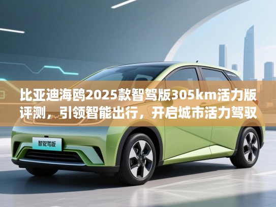 比亚迪海鸥2025款智驾版305km活力版评测，引领智能出行，开启城市活力驾驭新纪元