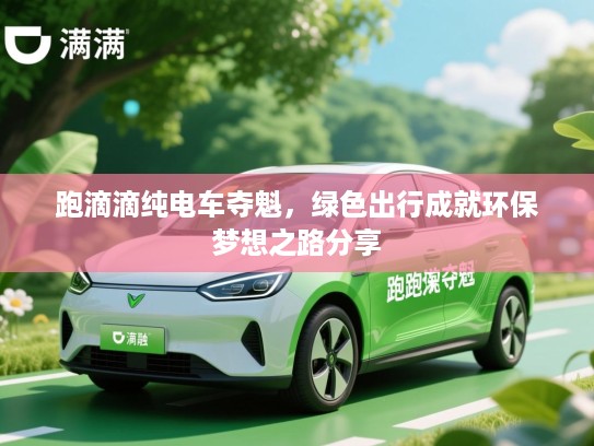 跑滴滴纯电车夺魁，绿色出行成就环保梦想之路分享
