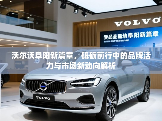 沃尔沃阜阳新篇章，砥砺前行中的品牌活力与市场新动向解析