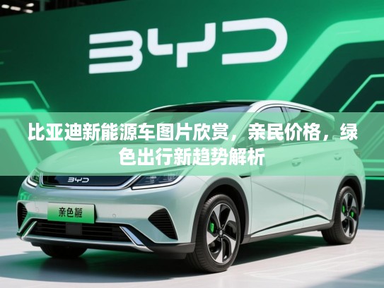 比亚迪新能源车图片欣赏，亲民价格，绿色出行新趋势解析
