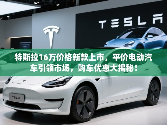 特斯拉16万价格新款上市，平价电动汽车引领市场，购车优惠大揭秘！