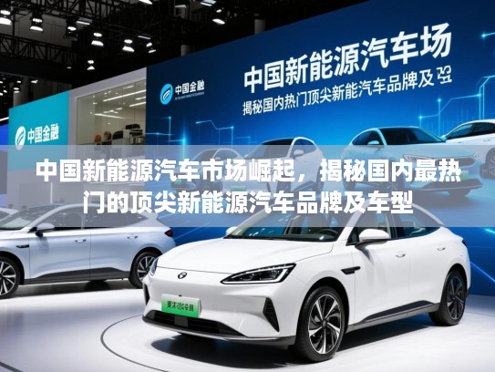 中国新能源汽车市场崛起，揭秘国内最热门的顶尖新能源汽车品牌及车型