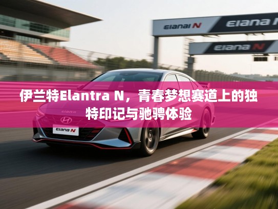 伊兰特Elantra N，青春梦想赛道上的独特印记与驰骋体验