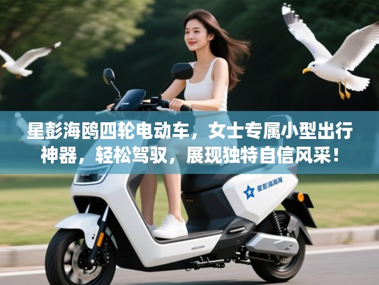 星彭海鸥四轮电动车,女士专属小型出行神器,轻松驾驭,展现独特自信风采! 星彭海鸥四轮电动车,女士专属小型出行神器,轻松驾驭,展现独特自信风采!