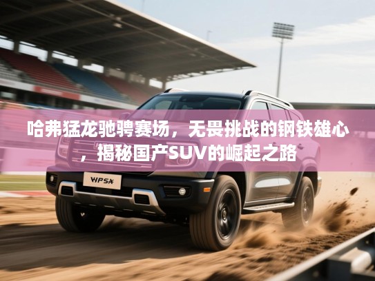 哈弗猛龙驰骋赛场,无畏挑战的钢铁雄心,揭秘国产SUV的崛起之路 哈弗猛龙驰骋赛场,无畏挑战的钢铁雄心,揭秘国产SUV的崛起之路