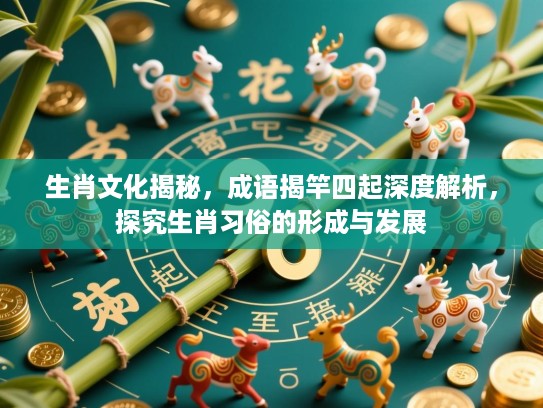 生肖文化揭秘，成语揭竿四起深度解析，探究生肖习俗的形成与发展