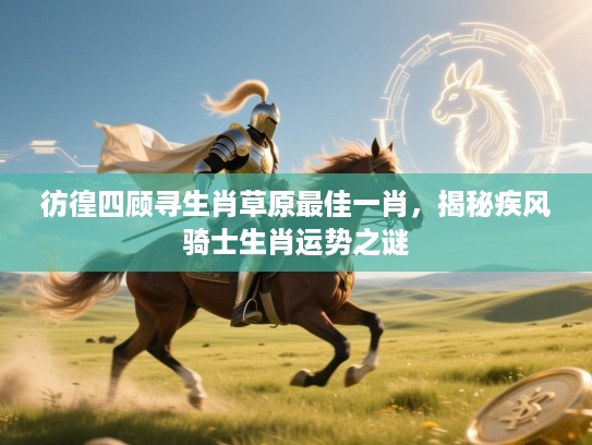 彷徨四顾寻生肖草原最佳一肖,揭秘疾风骑士生肖运势之谜 彷徨四顾寻生肖草原最佳一肖,揭秘疾风骑士生肖运势之谜