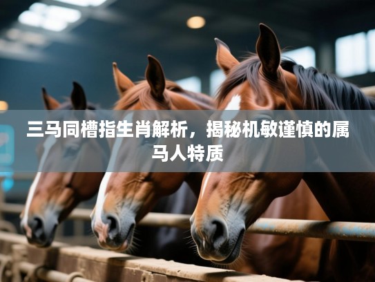 三马同槽指生肖解析,揭秘机敏谨慎的属马人特质 三马同槽指生肖解析,揭秘机敏谨慎的属马人特质