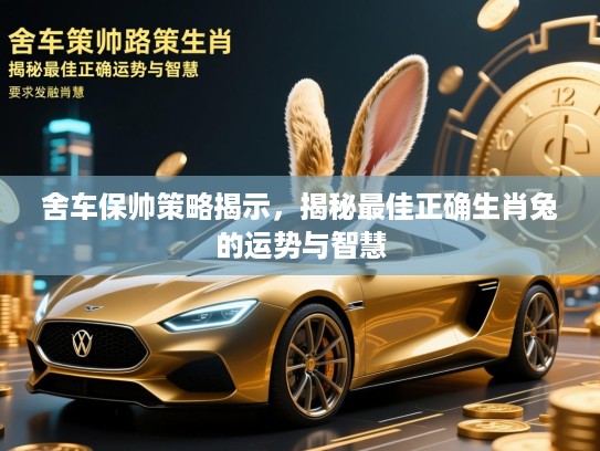 舍车保帅策略揭示，揭秘最佳正确生肖兔的运势与智慧