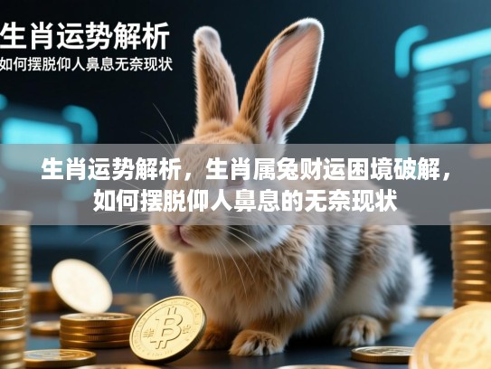 生肖运势解析，生肖属兔财运困境破解，如何摆脱仰人鼻息的无奈现状