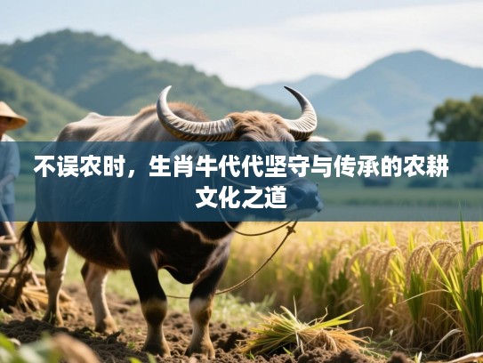 不误农时,生肖牛代代坚守与传承的农耕文化之道 不误农时,生肖牛代代坚守与传承的农耕文化之道