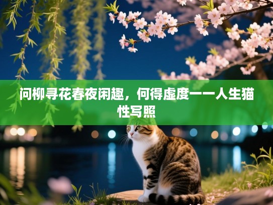 问柳寻花春夜闲趣,何得虚度一一人生猫性写照 问柳寻花春夜闲趣,何得虚度一一人生猫性写照
