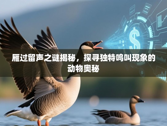 雁过留声之谜揭秘，探寻独特鸣叫现象的动物奥秘
