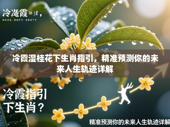 冷霞湿桂花下生肖指引，精准预测你的未来人生轨迹详解